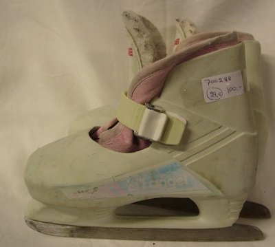 (29,5) Skalskridskor