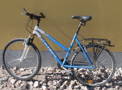 26" Beg Gör det självcykel
